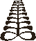 Aya — the fern symbol